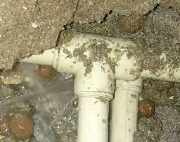 于洪测漏水多少钱