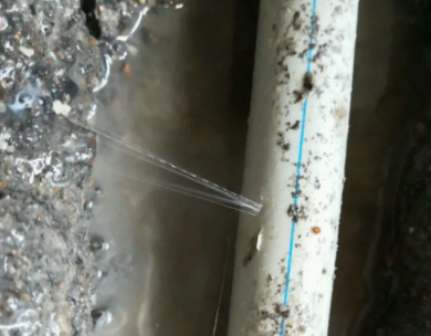 于洪测漏水哪家好