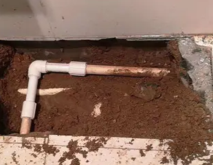 于洪测漏水哪家好