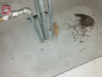 于洪卫生间测漏水价格明细