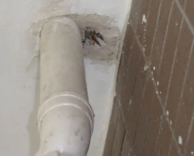 于洪漏水检测哪家好